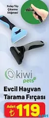 KİWİ PETS EVCİL HAYVAN TARAMA FIRÇASI indirimli fiyat KİWİ PETS EVCİL HAYVAN TARAMA FIRÇASI fiyat ve kampanya bilgisi
